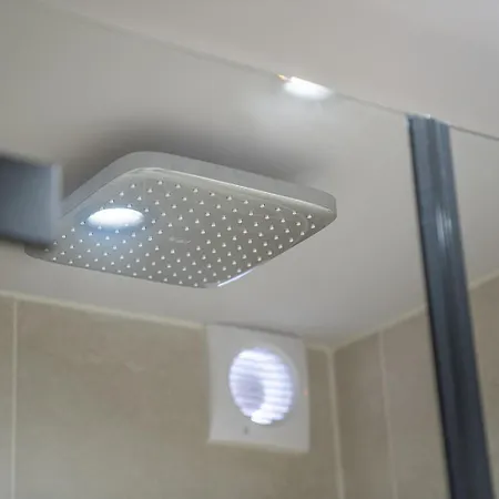 Edelweiss Saas-Almagell